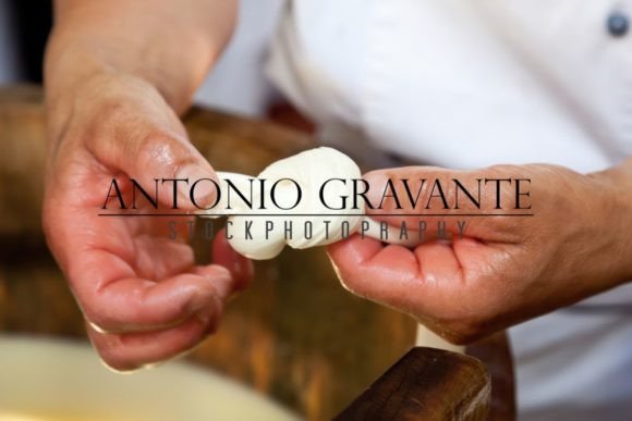 Download Production Handmade Craftsmanship of Mozzarella - Craftsmanship Collection